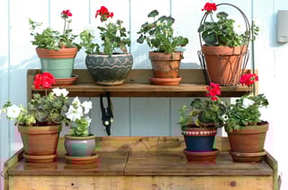 potting-bench.jpg
