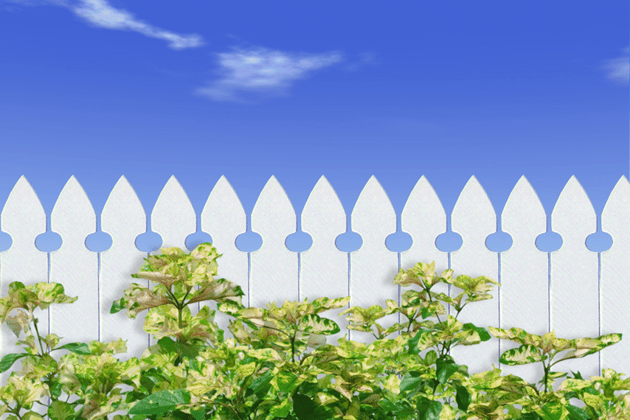 fence.png fence.png